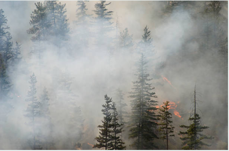 The impacts of B.C Wildfires in Kamloops